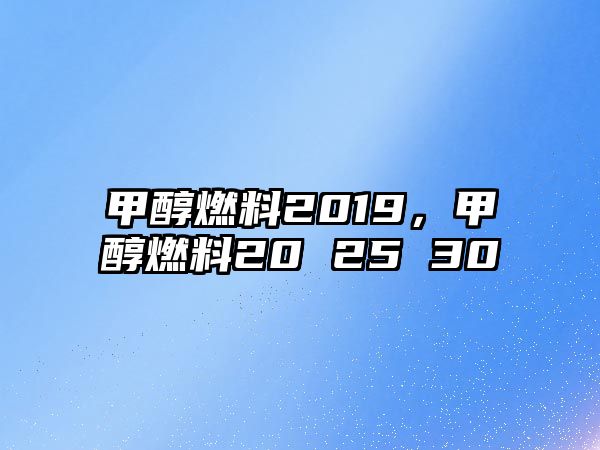 甲醇燃料2019，甲醇燃料20 25 30