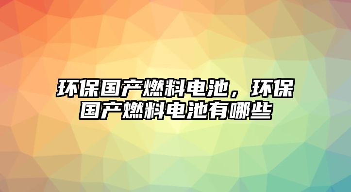 環(huán)保國產(chǎn)燃料電池，環(huán)保國產(chǎn)燃料電池有哪些