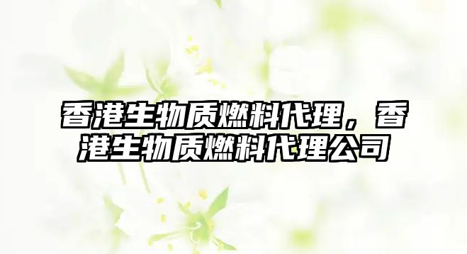 香港生物質(zhì)燃料代理，香港生物質(zhì)燃料代理公司