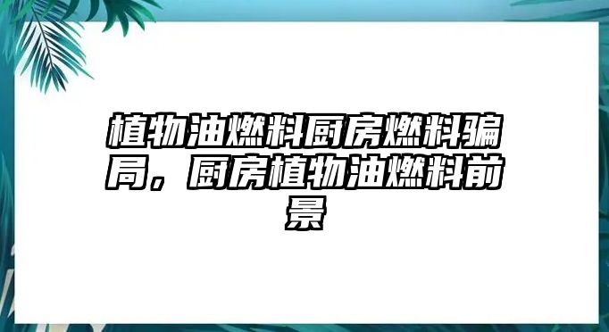 植物油燃料廚房燃料騙局，廚房植物油燃料前景