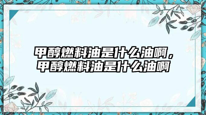 甲醇燃料油是什么油啊，甲醇燃料油是什么油啊