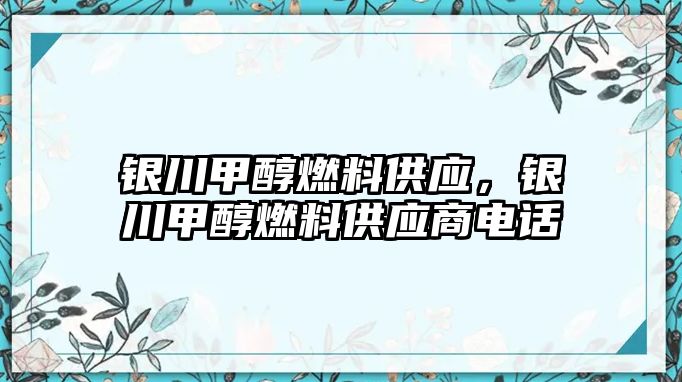 銀川甲醇燃料供應(yīng)，銀川甲醇燃料供應(yīng)商電話