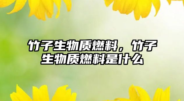 竹子生物質(zhì)燃料，竹子生物質(zhì)燃料是什么