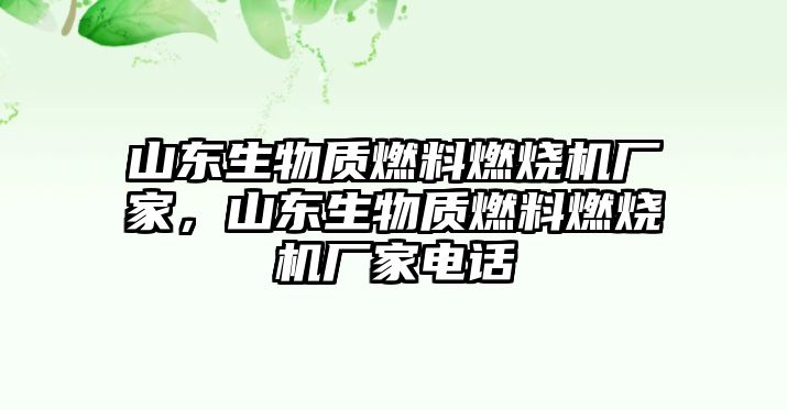 山東生物質(zhì)燃料燃燒機(jī)廠家，山東生物質(zhì)燃料燃燒機(jī)廠家電話