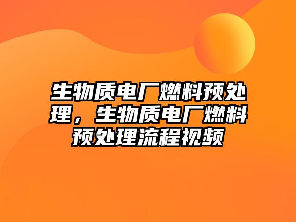 生物質(zhì)電廠(chǎng)燃料預(yù)處理，生物質(zhì)電廠(chǎng)燃料預(yù)處理流程視頻