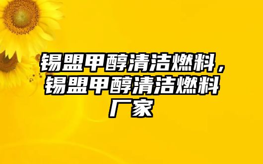 錫盟甲醇清潔燃料，錫盟甲醇清潔燃料廠家