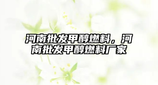 河南批發(fā)甲醇燃料，河南批發(fā)甲醇燃料廠家