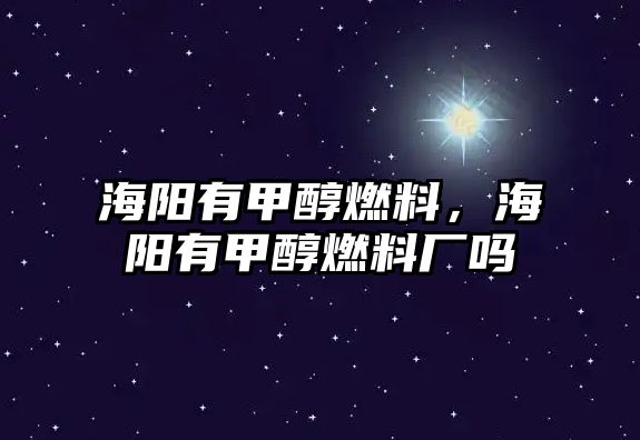 海陽有甲醇燃料，海陽有甲醇燃料廠嗎