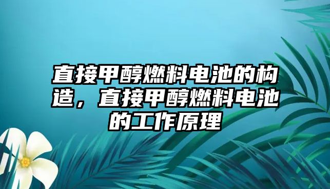 直接甲醇燃料電池的構(gòu)造，直接甲醇燃料電池的工作原理