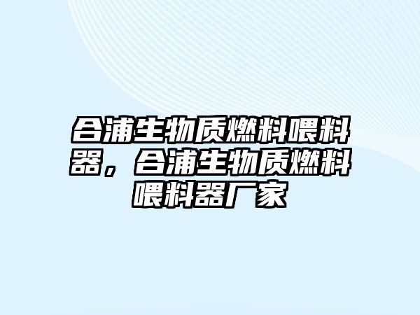 合浦生物質燃料喂料器，合浦生物質燃料喂料器廠家