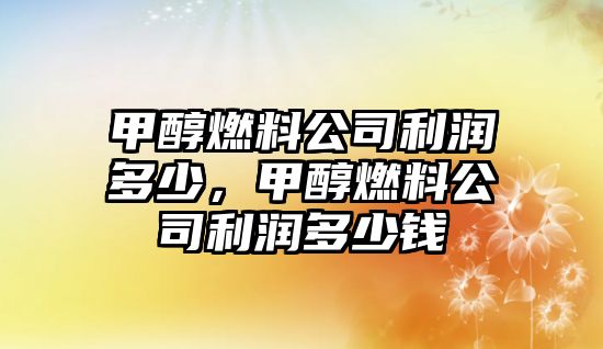 甲醇燃料公司利潤多少，甲醇燃料公司利潤多少錢