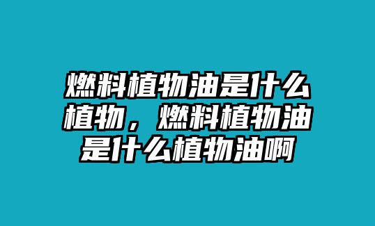 燃料植物油是什么植物，燃料植物油是什么植物油啊