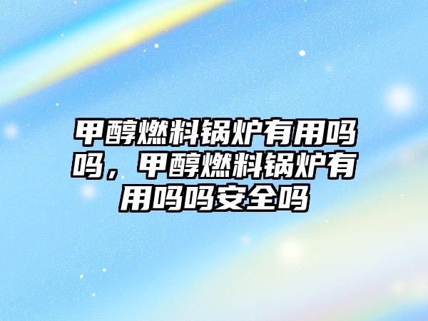 甲醇燃料鍋爐有用嗎嗎，甲醇燃料鍋爐有用嗎嗎安全嗎