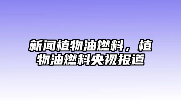 新聞植物油燃料，植物油燃料央視報(bào)道