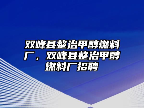 雙峰縣整治甲醇燃料廠，雙峰縣整治甲醇燃料廠招聘