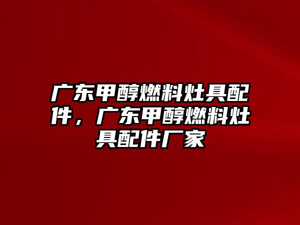 廣東甲醇燃料灶具配件，廣東甲醇燃料灶具配件廠家