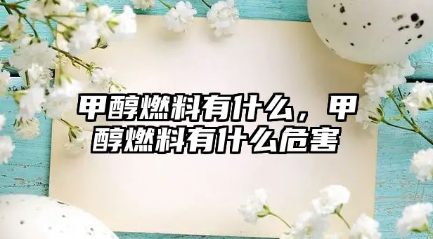 甲醇燃料有什么，甲醇燃料有什么危害