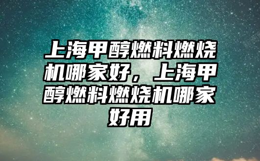 上海甲醇燃料燃燒機哪家好，上海甲醇燃料燃燒機哪家好用