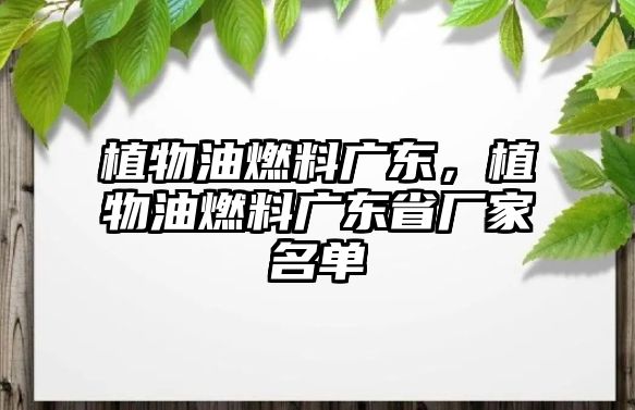 植物油燃料廣東，植物油燃料廣東省廠家名單