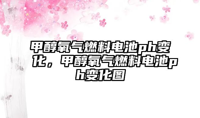 甲醇氧氣燃料電池ph變化，甲醇氧氣燃料電池ph變化圖