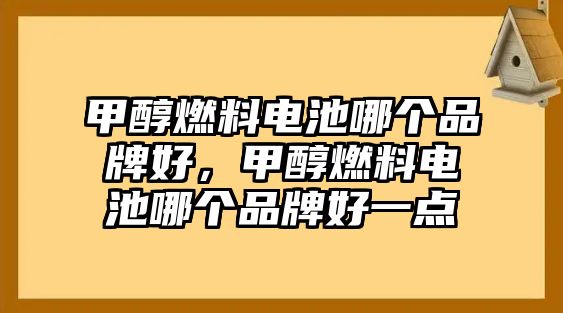 甲醇燃料電池哪個品牌好，甲醇燃料電池哪個品牌好一點(diǎn)