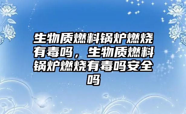 生物質燃料鍋爐燃燒有毒嗎，生物質燃料鍋爐燃燒有毒嗎安全嗎