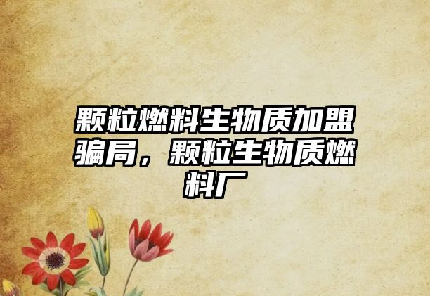 顆粒燃料生物質(zhì)加盟騙局，顆粒生物質(zhì)燃料廠