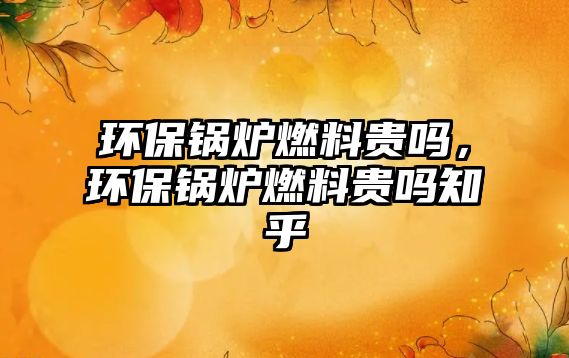 環(huán)保鍋爐燃料貴嗎，環(huán)保鍋爐燃料貴嗎知乎