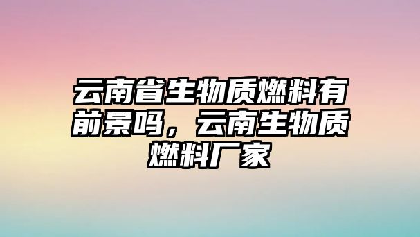 云南省生物質(zhì)燃料有前景嗎，云南生物質(zhì)燃料廠家