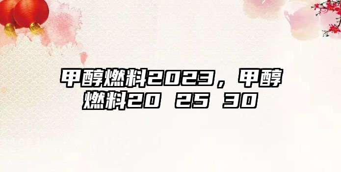 甲醇燃料2023，甲醇燃料20 25 30