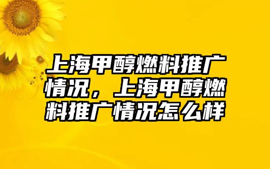 上海甲醇燃料推廣情況，上海甲醇燃料推廣情況怎么樣