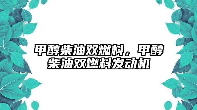 甲醇柴油雙燃料，甲醇柴油雙燃料發(fā)動機