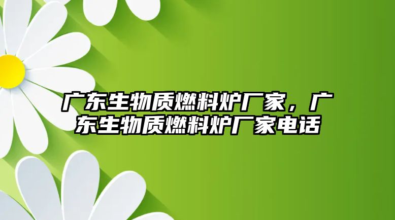 廣東生物質(zhì)燃料爐廠家，廣東生物質(zhì)燃料爐廠家電話