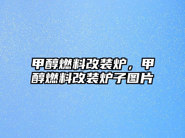 甲醇燃料改裝爐，甲醇燃料改裝爐子圖片