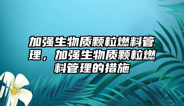 加強生物質顆粒燃料管理，加強生物質顆粒燃料管理的措施