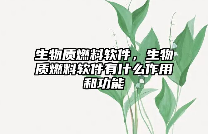 生物質(zhì)燃料軟件，生物質(zhì)燃料軟件有什么作用和功能