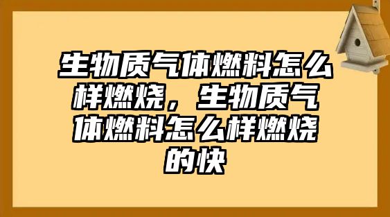 生物質(zhì)氣體燃料怎么樣燃燒，生物質(zhì)氣體燃料怎么樣燃燒的快