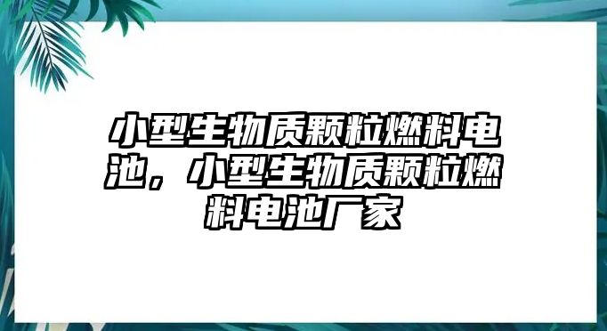 小型生物質(zhì)顆粒燃料電池，小型生物質(zhì)顆粒燃料電池廠家