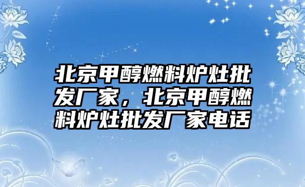 北京甲醇燃料爐灶批發(fā)廠家，北京甲醇燃料爐灶批發(fā)廠家電話