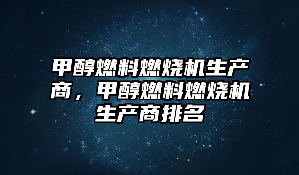 甲醇燃料燃燒機生產商，甲醇燃料燃燒機生產商排名