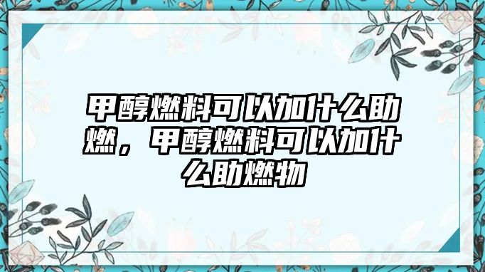 甲醇燃料可以加什么助燃，甲醇燃料可以加什么助燃物