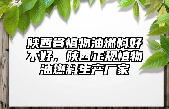 陜西省植物油燃料好不好，陜西正規(guī)植物油燃料生產(chǎn)廠家