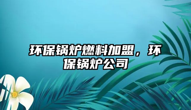 環(huán)保鍋爐燃料加盟，環(huán)保鍋爐公司