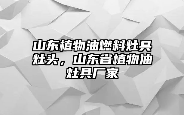 山東植物油燃料灶具灶頭，山東省植物油灶具廠家