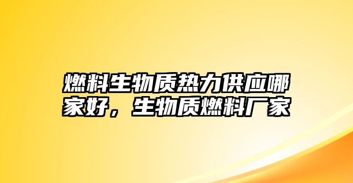 燃料生物質(zhì)熱力供應(yīng)哪家好，生物質(zhì)燃料廠家