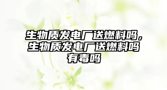 生物質(zhì)發(fā)電廠送燃料嗎，生物質(zhì)發(fā)電廠送燃料嗎有毒嗎