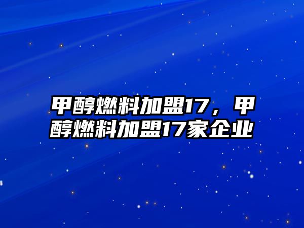 甲醇燃料加盟17，甲醇燃料加盟17家企業(yè)