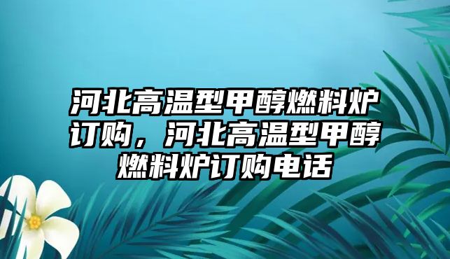 河北高溫型甲醇燃料爐訂購，河北高溫型甲醇燃料爐訂購電話