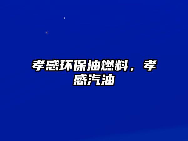 孝感環(huán)保油燃料，孝感汽油