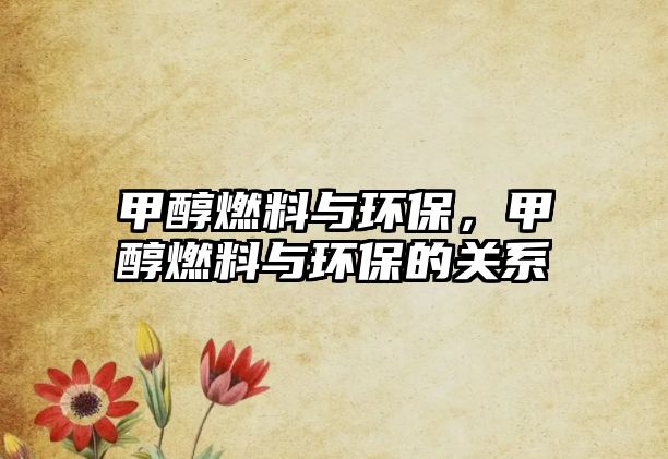 甲醇燃料與環(huán)保，甲醇燃料與環(huán)保的關系